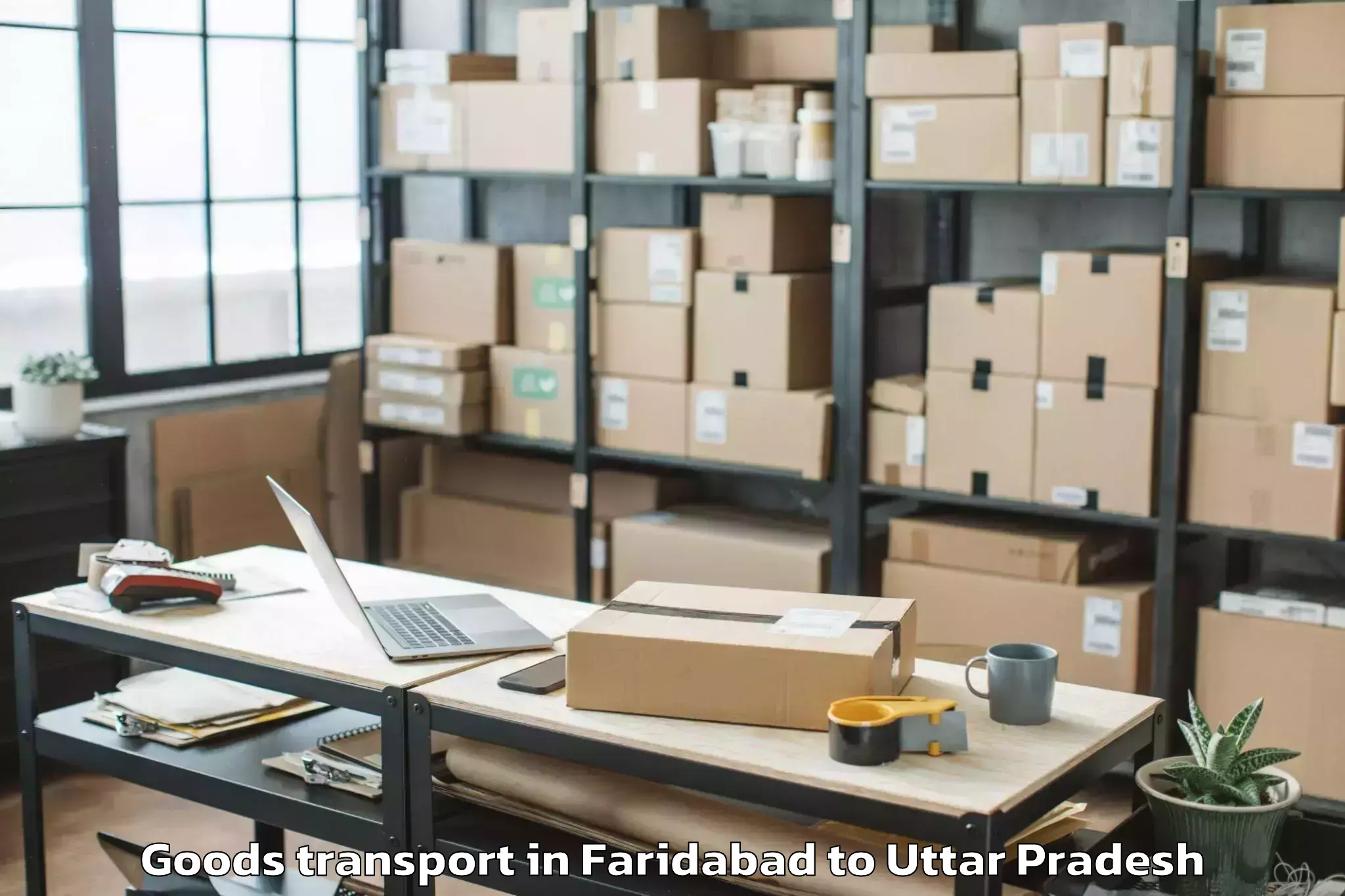 Discover Faridabad to Mungra Badshahpur Goods Transport